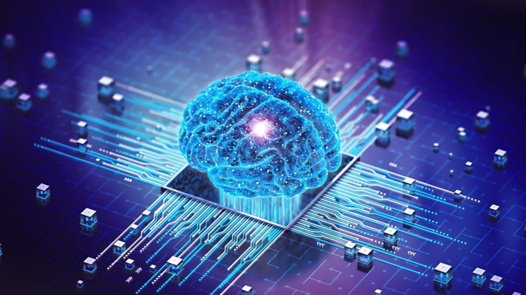 Kelmivorani Standort Dresden